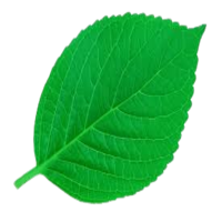 FarmInteli