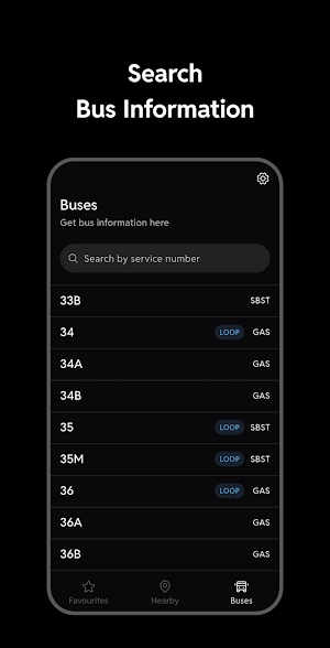 SG Bus Lai Liao Screenshot 2