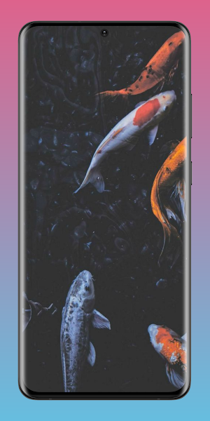 Koi Fish Pond Wallpaper HD 4K Screenshot 0