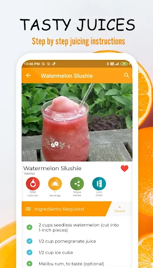 Juice Recipes : Best Smoothies Screenshot 1