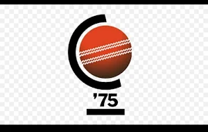 CRICKET WC Screenshot 3