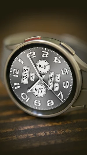 Silver Gray Quartz ZKin Watch Screenshot 3