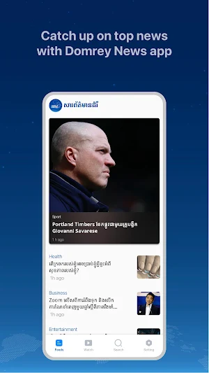 Domrey News Screenshot 0