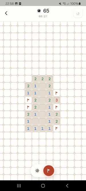 Minesweeper: Path to Victory Screenshot 2