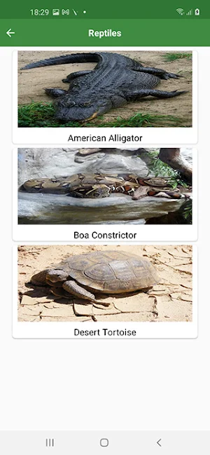 WorldCritters Screenshot 3