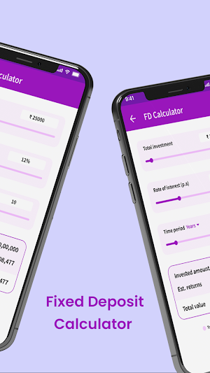 Financial Planning Calculator Screenshot 3