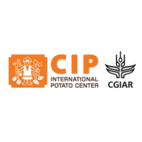 CIP