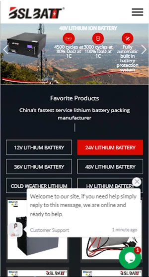 BSLBATT Battery Screenshot 0