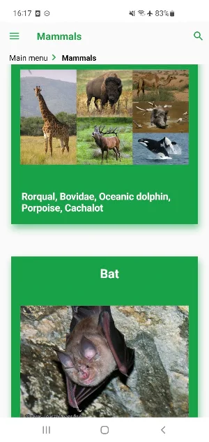 Emirates Animals Screenshot 2