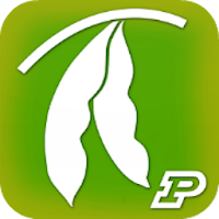 Soybean Field Scout