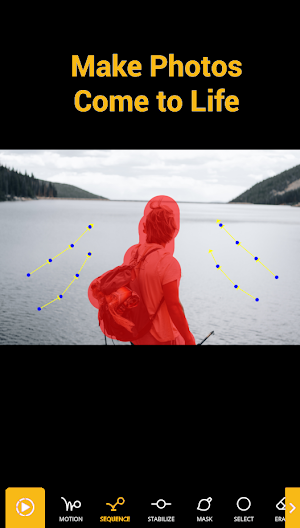 Pixa Motion Screenshot 2