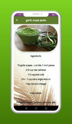 Garlic Scape Recipes Screenshot 2