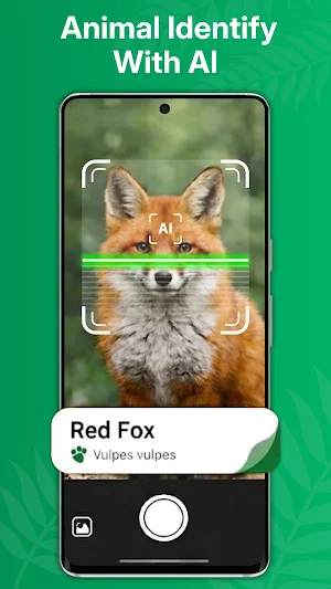 Identify: Ai Plant Identifier Screenshot 2