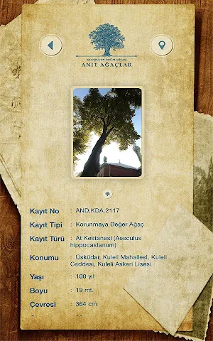 Anıt Ağaçlar - Anadolu Screenshot 3