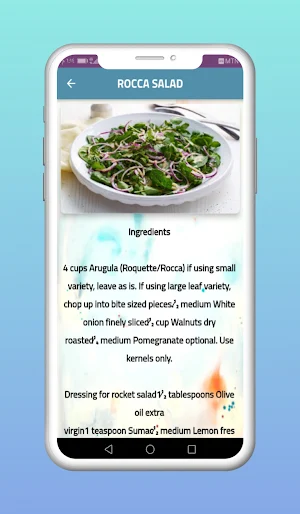 Middle Eastern Salad Screenshot 3