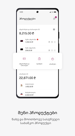 Terabank Screenshot 3