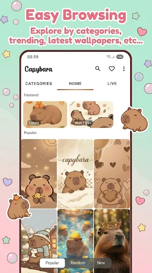 Cute Capybara Wallpapers 4K Screenshot 3