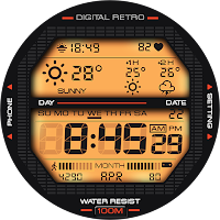 ARS Digital Retro