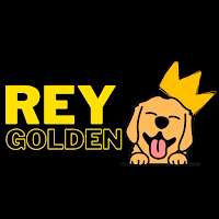 Radio Rey Golden