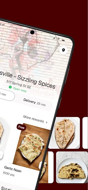 Sizzling Spices Gainesville Screenshot 1