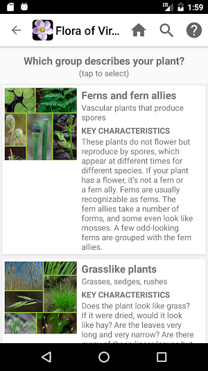 Flora of Virginia Screenshot 2