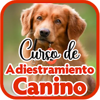 Curso de Adiestramiento Canino