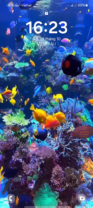 4D Fish Tank Live Wallpaper screenshot 6