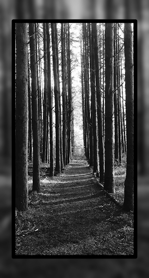 Black Tree Wallpaper HD Screenshot 1
