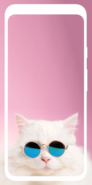 Cute Cat Wallpaper HD 4K Screenshot 3