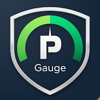 P-Gauge