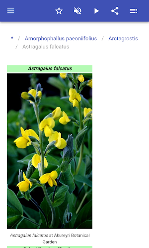 Forage plants Screenshot 3
