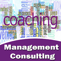 Management Consulting