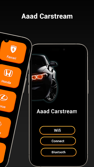 aaad CarStream Screenshot 1