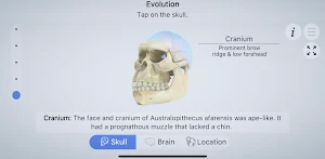 Brainapse Screenshot 0