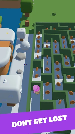 Maze Speedrunner Screenshot 1