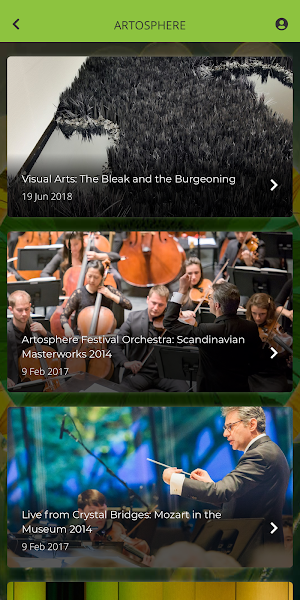 Artosphere Festival Screenshot 2
