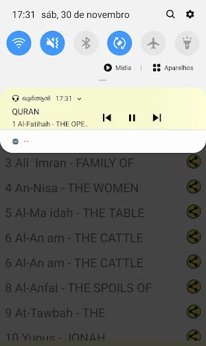 Malayalam Quran Audio Screenshot 1