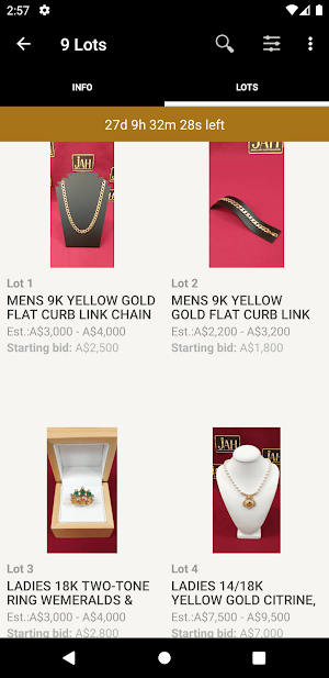 Jewellery Auction House Screenshot 2