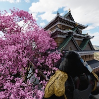 Escape Game Aduti SakuraCastle