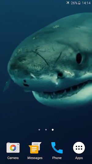 Shark 4K Live Wallpaper Screenshot 2