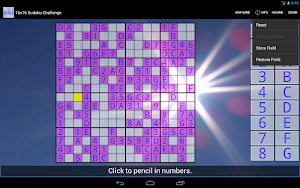 16x16 Sudoku Challenge HD Screenshot 3