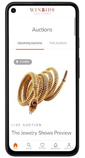 WinBids Auctions Screenshot 1