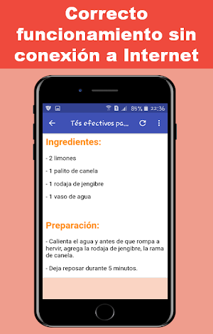 Bebidas Adelgazantes Screenshot 3