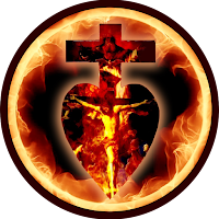 Sensus Fidelium App