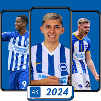 Brighton Wallpaper 2024