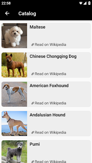 Dog breeds - Photo Quiz Screenshot 3