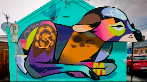 Waterford Walls Screenshot 1