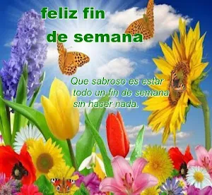 Feliz fin de semana y inicio Screenshot 1