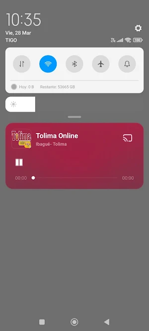 Tolima Online Screenshot 2