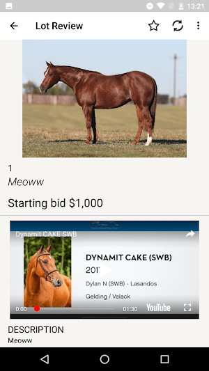 Select Online Horse Sales Screenshot 2